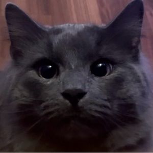 Meet your Posher, Fatima